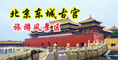 自拍国产麻豆中国北京-东城古宫旅游风景区